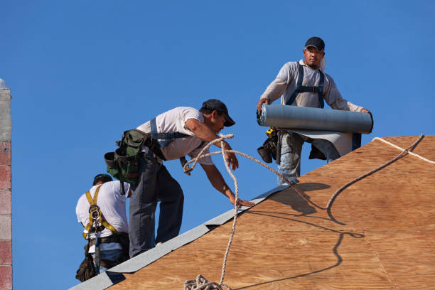 Best Local Roofing Companies  in Rapid Valley, SD